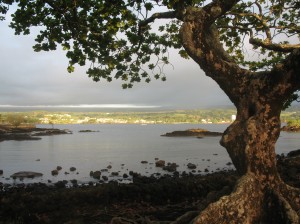 Another view of Hilo Bay